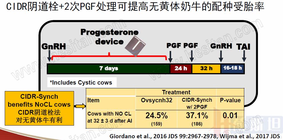 康奈尔大学干细胞研究,康奈尔大学科研