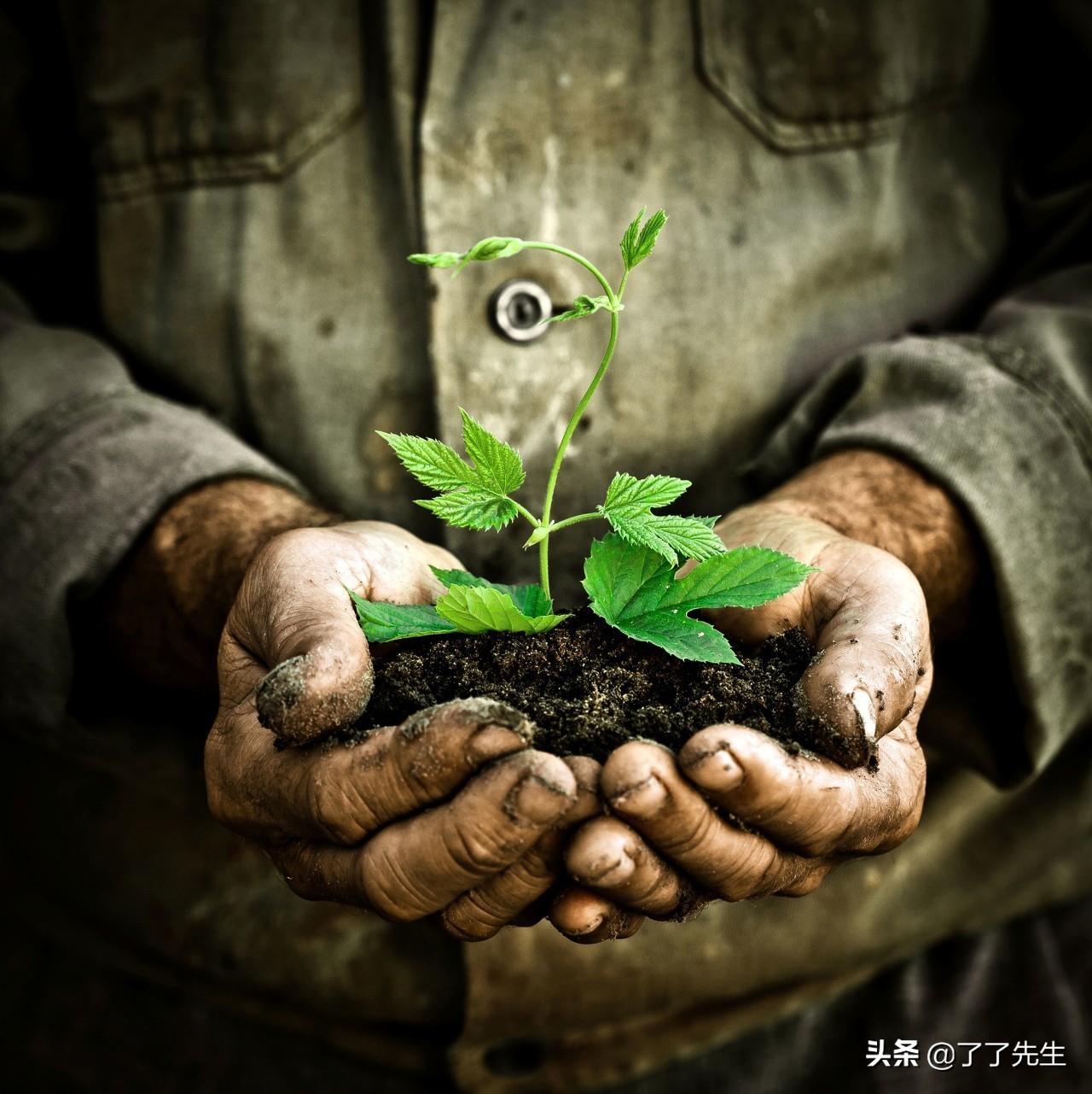 现代人用民主观与父母平等，破坏了尊卑关系