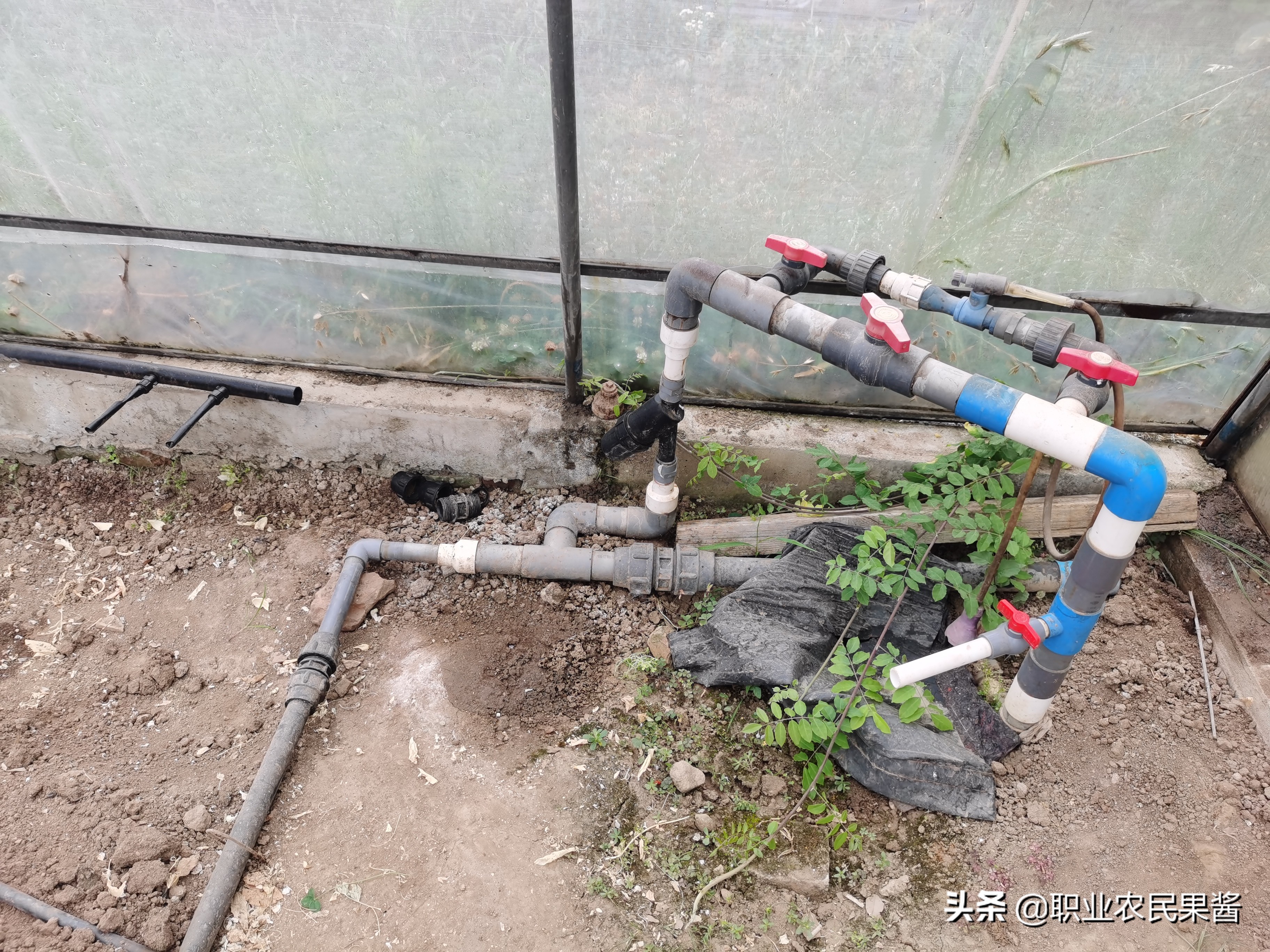 大棚蔬菜种植如何起垄,大棚蔬菜种植整地