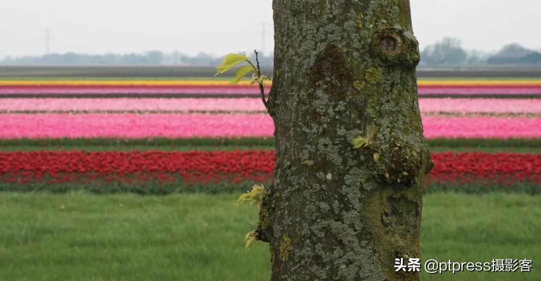 光圈值越大光圈越大正确还是错误,相机光圈与镜头光圈的关系