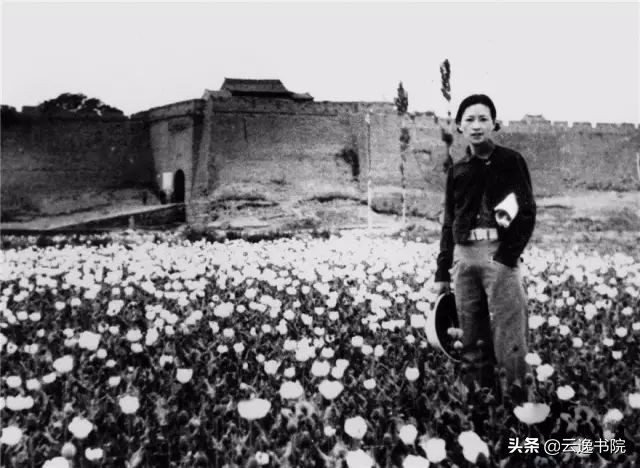 民国最美六大美人,民国才女气质美如兰