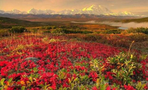 沾衣欲湿杏花酒不寒杨柳风,沾衣杏花雨吹面不寒杨柳风意思