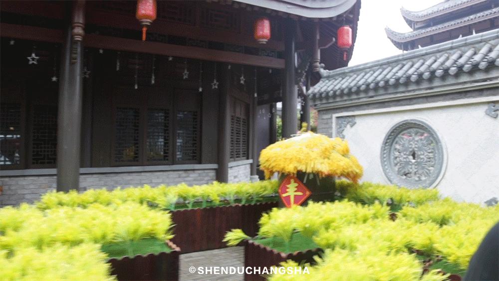 带小朋友去长沙方特东方神画,南宁方特东盟神画遛娃一日游攻略