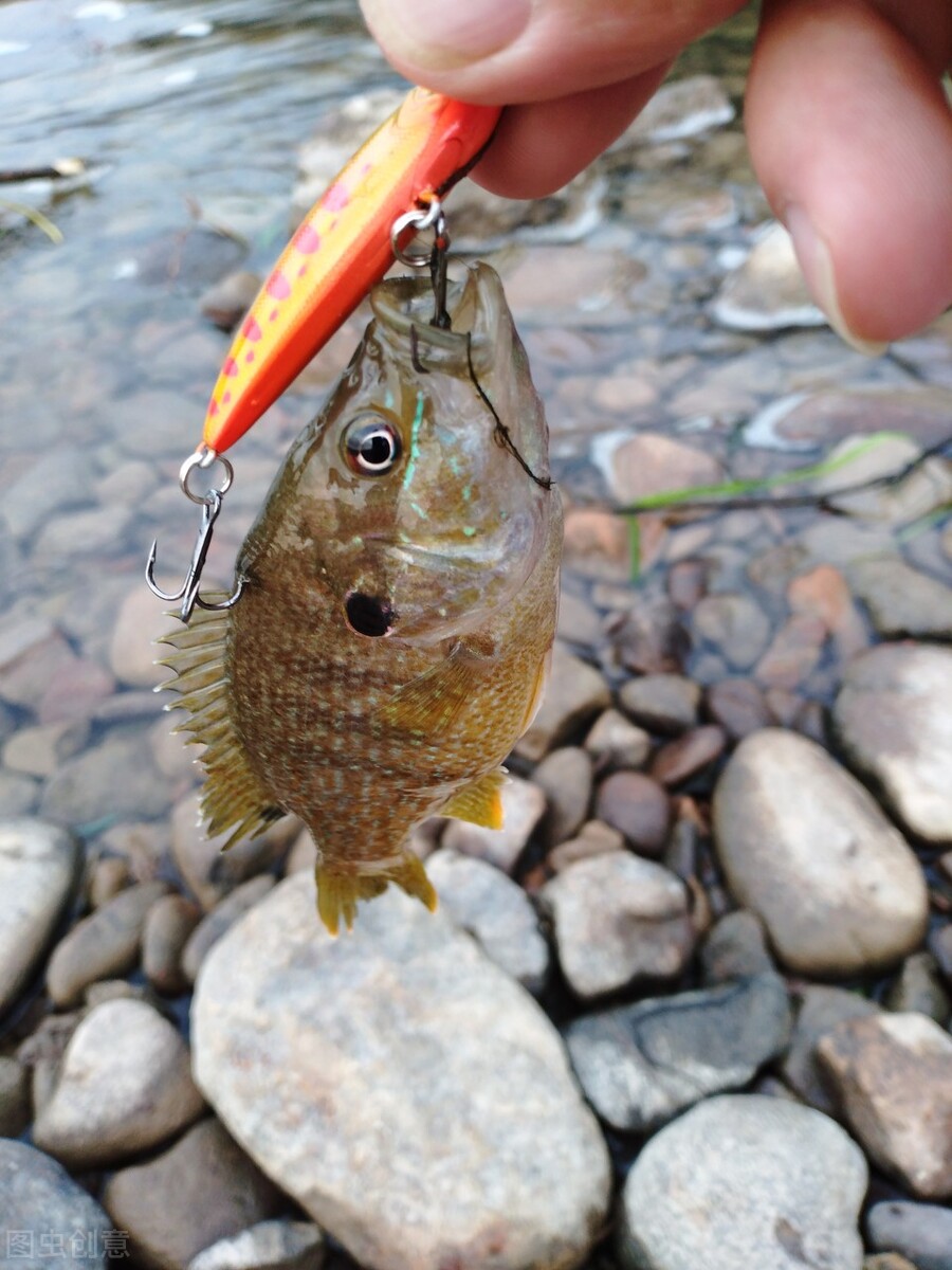 钓路亚新手必须知道的知识,新手路亚钓鱼入门应该钓什么鱼