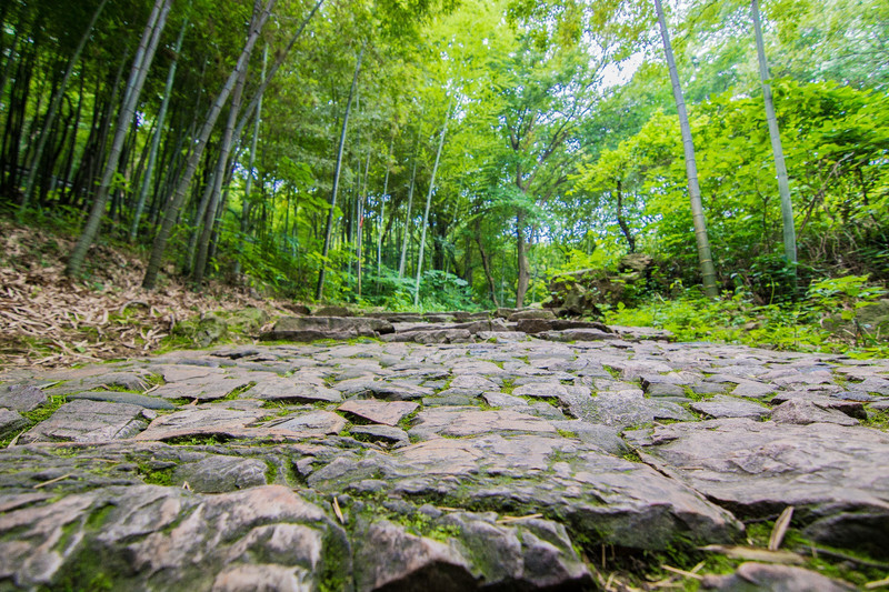苏州最高山海拔,乾隆在苏州爬过的山