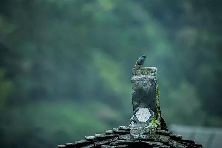 南怀瑾万物皆入我眼万事皆出我心,南怀瑾无论得意失意永远都要乐观