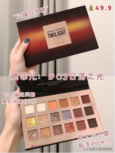 显色度高的大地色平价眼影盘,好用的一盘多用的眼影盘推荐