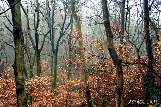 在期货市场如何操作更容易获利,期货如何才能做到持续稳定盈利