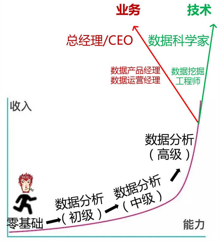 数据分析与数据挖掘的区别有哪些,数据分析与数据挖掘难不难