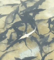 爆笑gif为了我的八块腹肌拼了,成年人幽默搞笑gif图片带字