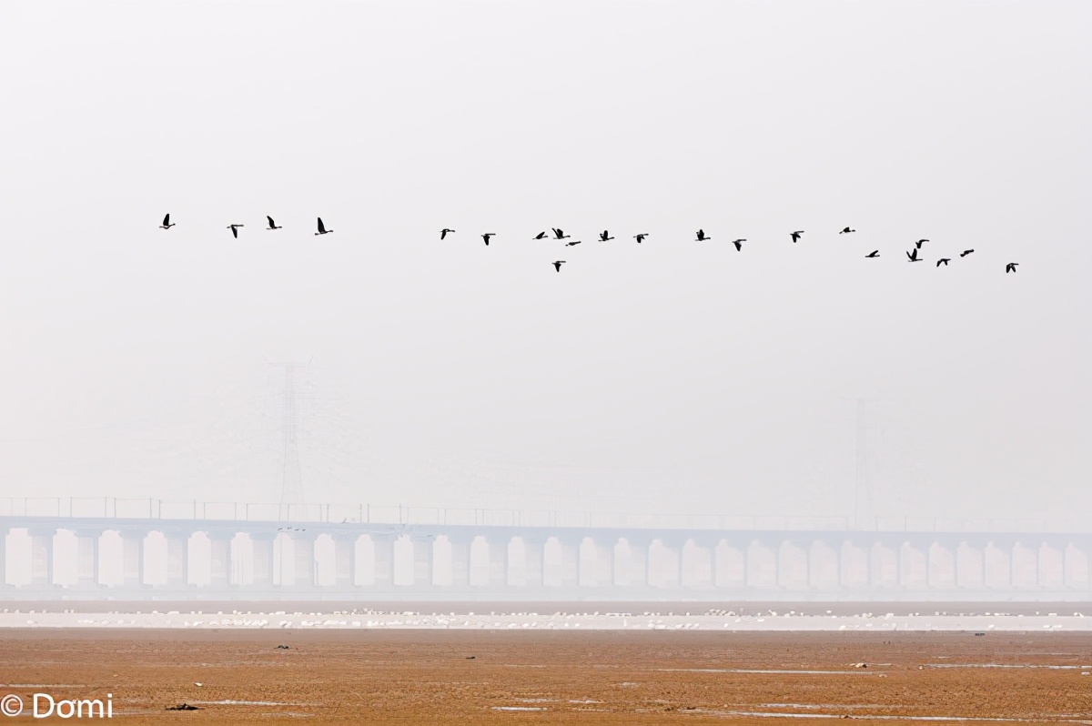 江西旅游攻略三天自由行攻略,江西三天两夜自由行旅游攻略