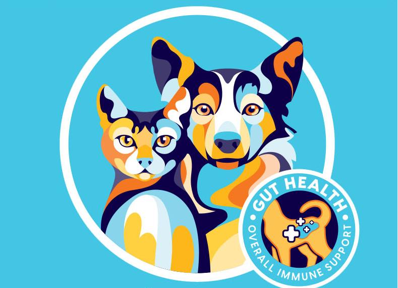 素力高狗粮怎么样,豆柴和素力高狗粮哪个更好