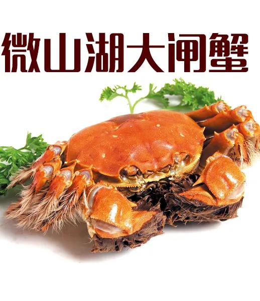 江苏螃蟹出名的地方,江苏十三市螃蟹图片