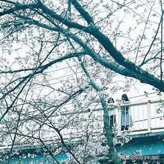 安卓高级朋友圈九宫格晒图,出去玩高级朋友圈九宫格晒图