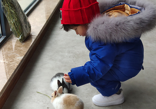 快乐星球的童星现在还在演艺圈吗,快乐星球中女童星长大后的照片