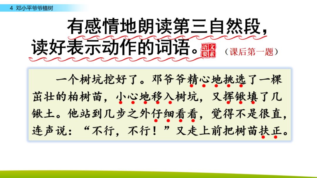 部编版二年级下册语文第4课《*小平邓**爷爷植树》知识点+图文讲解