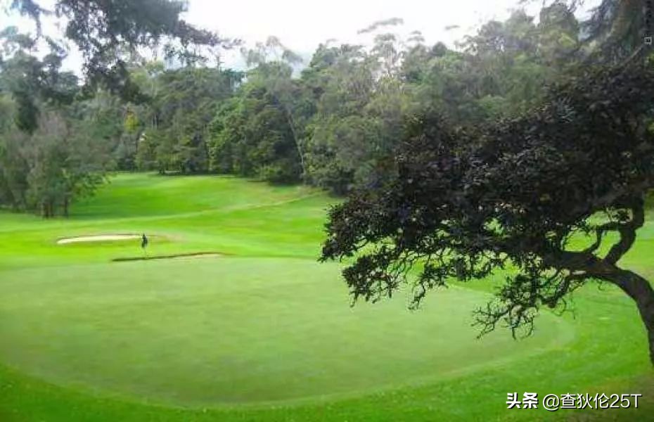 斯里兰卡努沃勒埃利耶打工靠谱吗,斯里兰卡努沃勒埃利耶