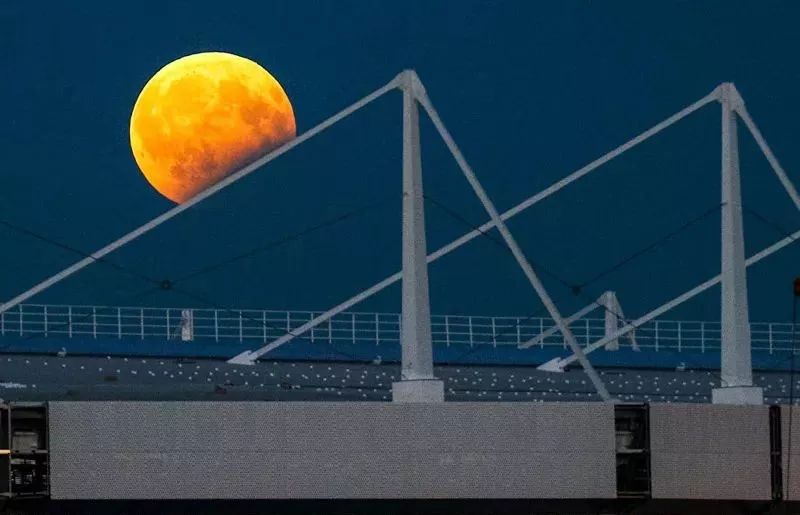 世界新闻摄影大赛获奖作品,国际新闻摄影