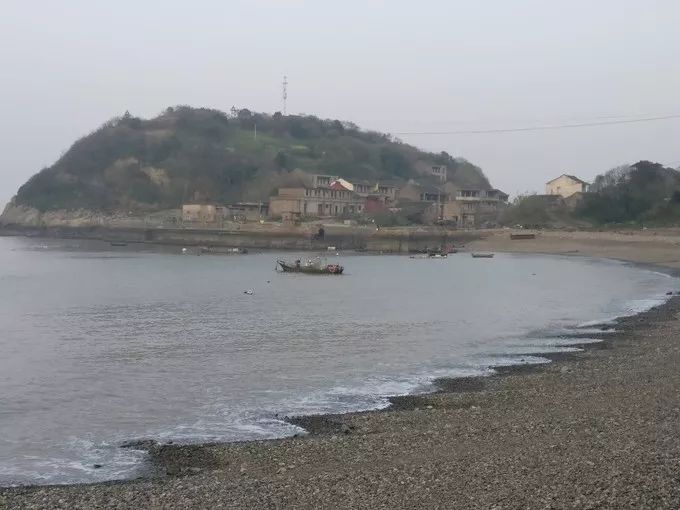 上海去桃花岛的自驾轮渡时间表,上海开车去舟山桃花岛怎么去