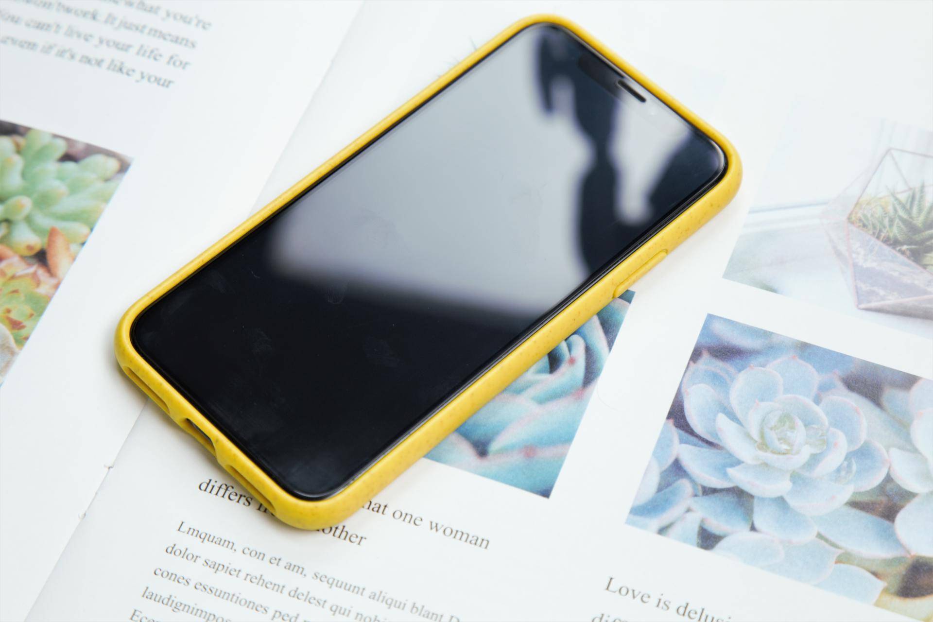 iphone后壳换成什么样的才好看,iphone最好看的官方壳