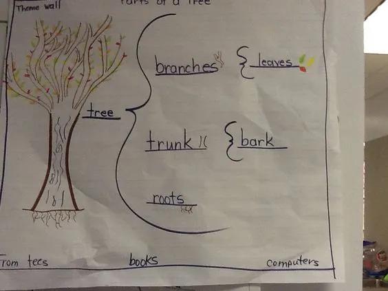 小学数学学霸思维导图五年级上册,学霸三年级下册数学思维导图