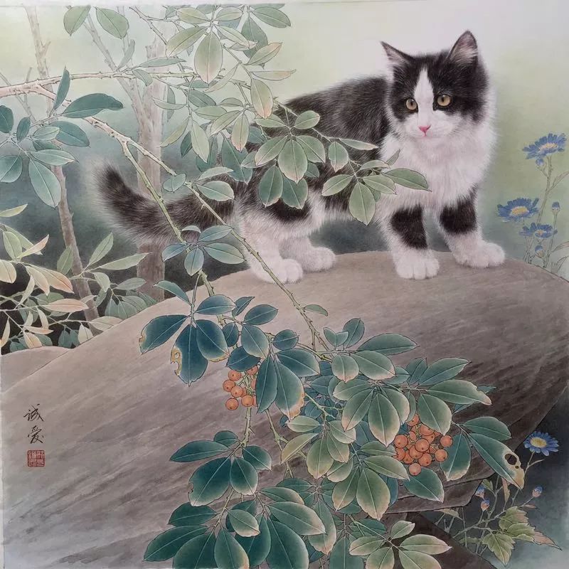 邢诚爱工笔猫画法,邢诚爱工笔画猫兔子高清大图
