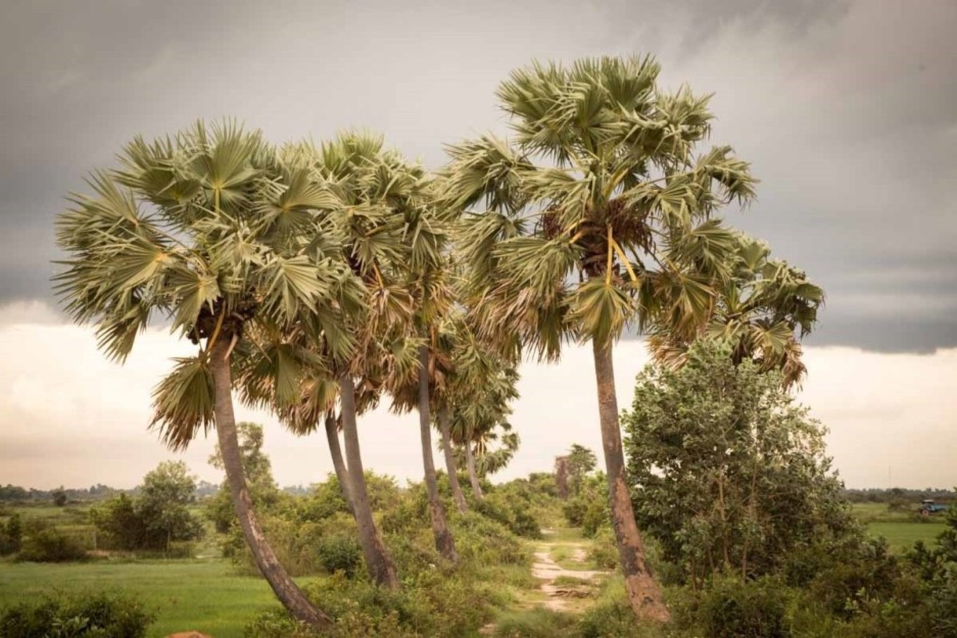 柬埔寨暹粒旅游购物攻略,柬埔寨暹粒逛街攻略