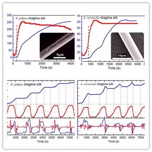 4月纺织黑科技|这些纺织前沿科技超乎想象！智能纱线……