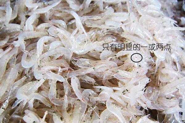 虾说，这是一篇让你不仅会吃，还会认……一文解决“虾”认识