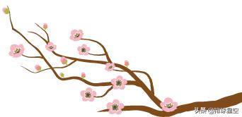 美国女子排球视频,美国排球女队