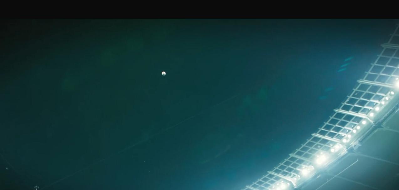 一共有多少种尤里,一共有几个尤里