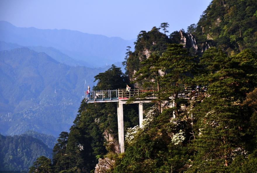 清明小长假，最美的行程当属井冈山