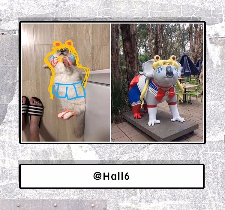 手机里唯一舍不得删的一张照片,相册里藏着一张不舍的删除的照片