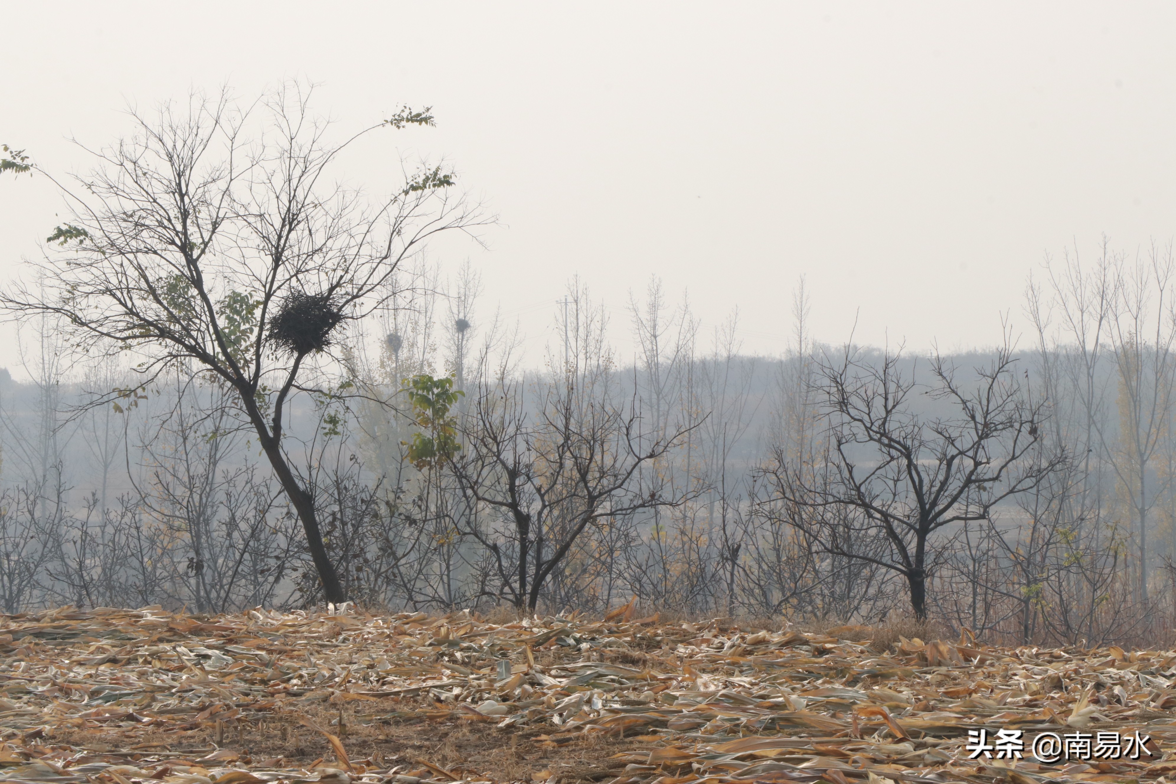 家乡风景带你一起感受自然的味道,令你难以忘怀的家乡的味道