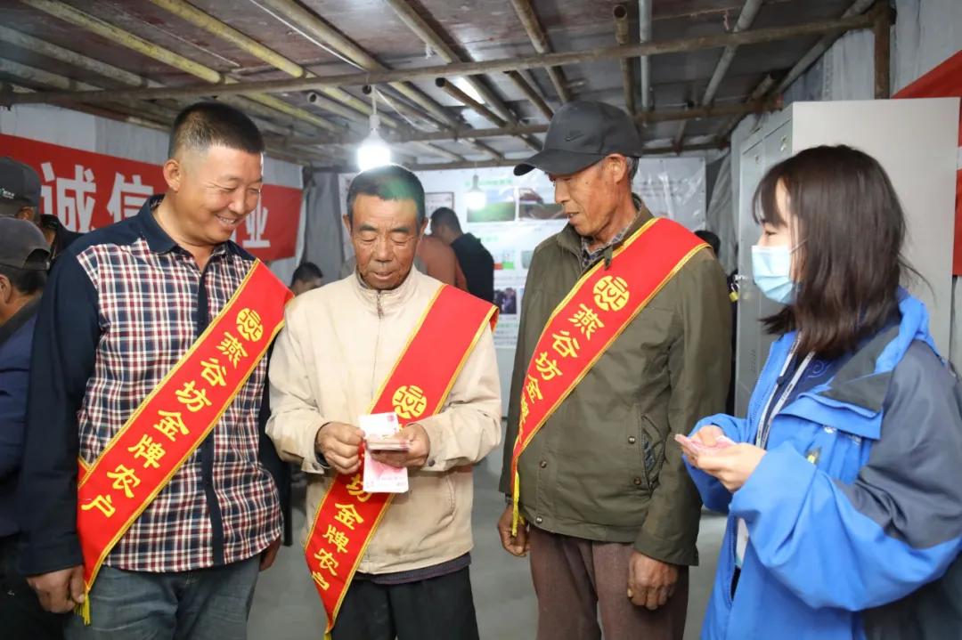 第三届中国农民丰收节汝南,益阳市第三届中国农民丰收节举行