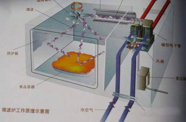 一颗葡萄放微波炉里加热会爆炸吗,微波炉加热葡萄为什么会爆炸
