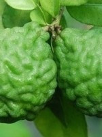 1分钟挑战认出10种罕见水果,5种难得一见的稀有水果