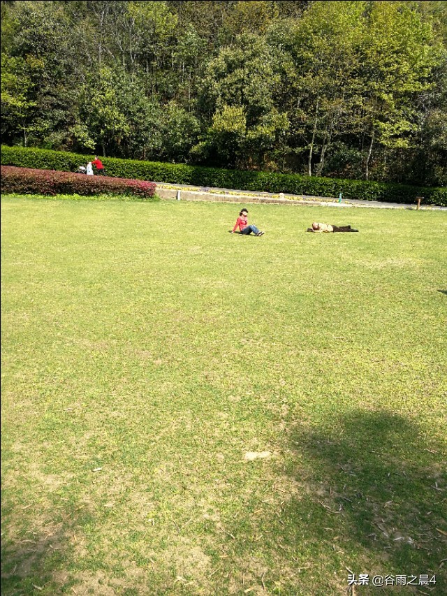 宜兴竹海徒步路线推荐,宜兴竹海最高海拔多少