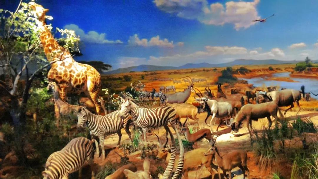 国庆节亲子游推荐重庆主城,小众重庆避暑亲子游推荐