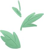 枫叶花宝宝开衫编织教程,3个水草花开衫领子怎么样钩