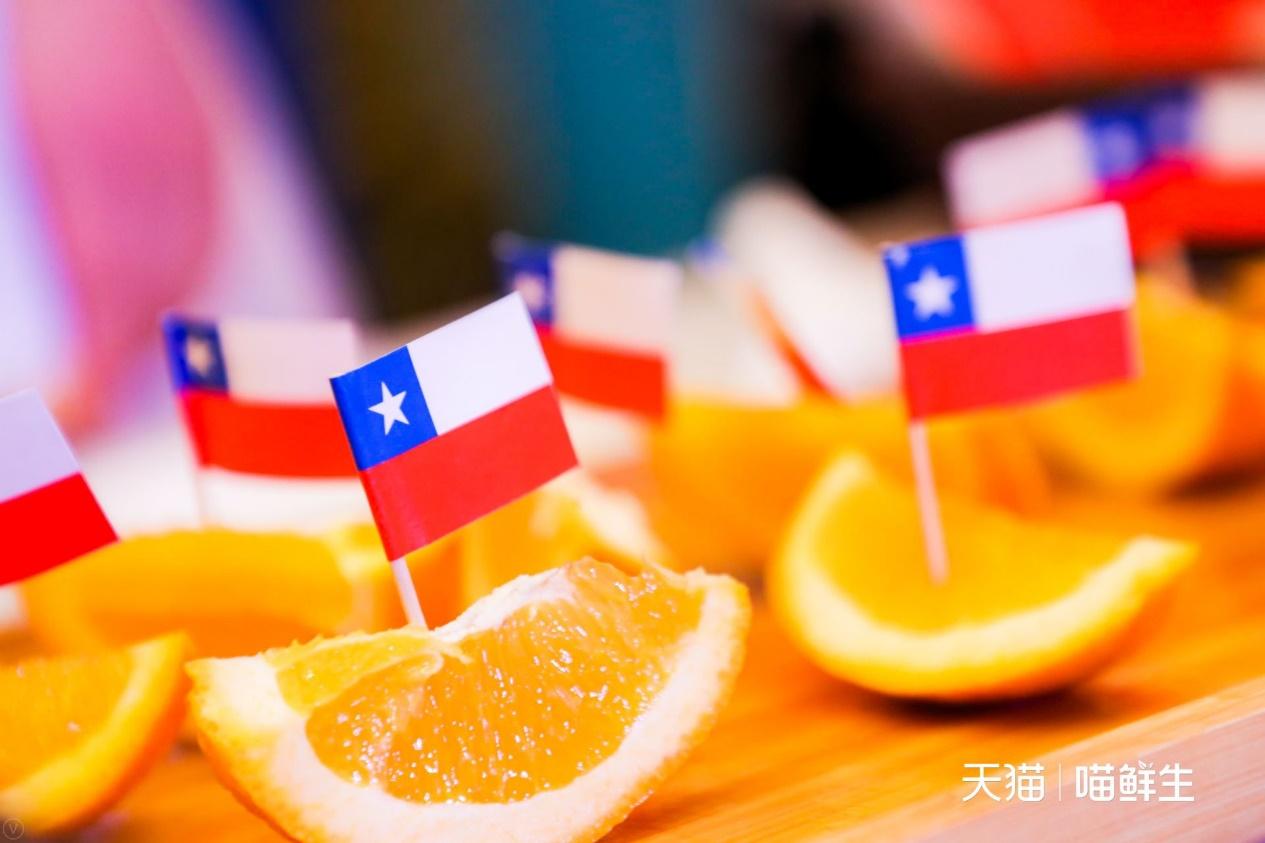 智利官方旗舰店,智利天猫国家旗舰店