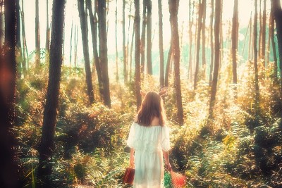 每个人心中都有一个谎言,人生就是不断的相信谎言