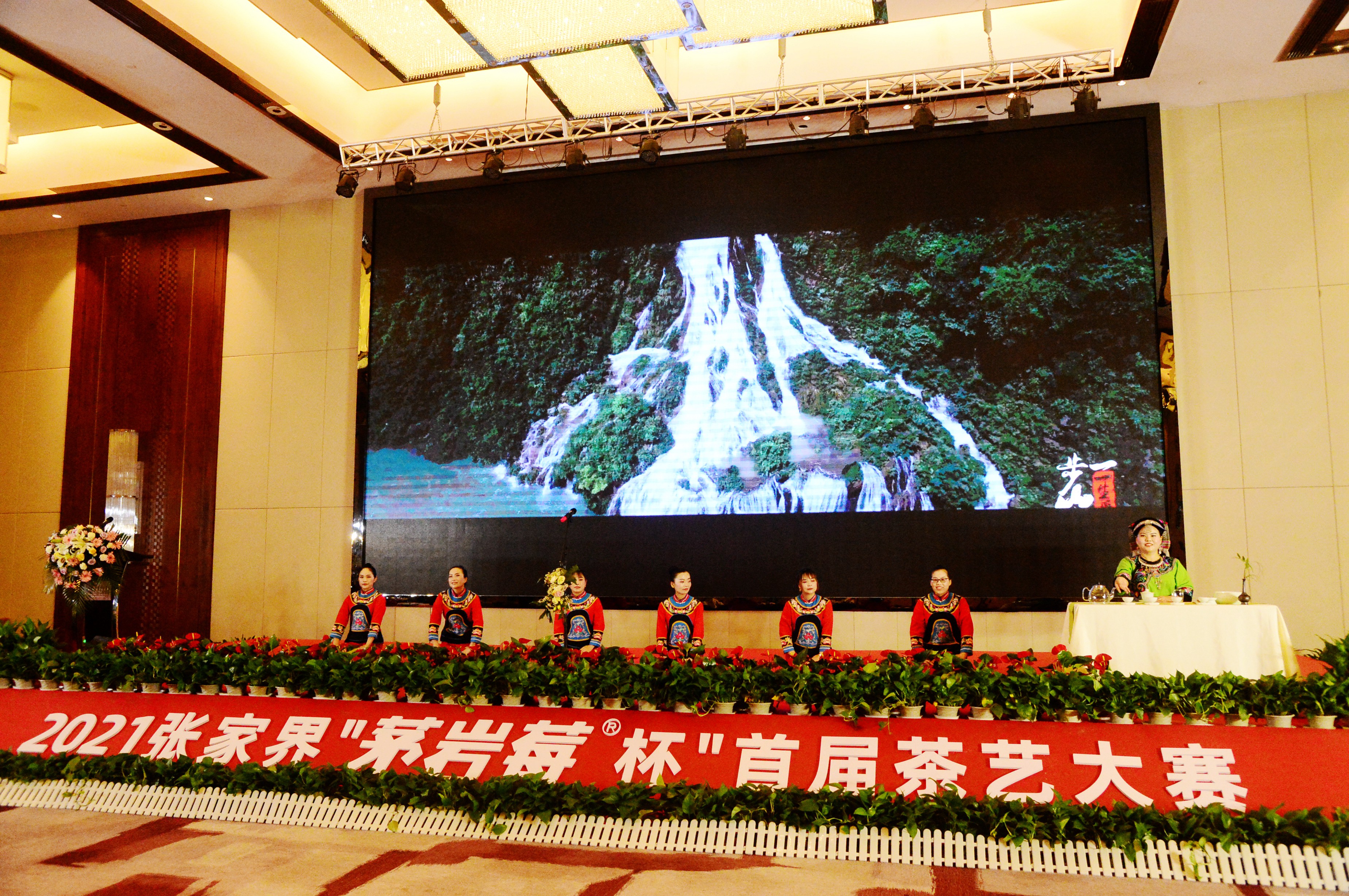 张家界莓茶茶艺比赛,张家界首届茶艺大赛