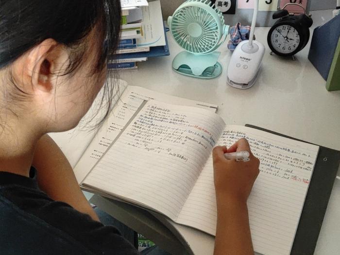 双减政策下该不该报补习班,双减政策下不能补课了吗