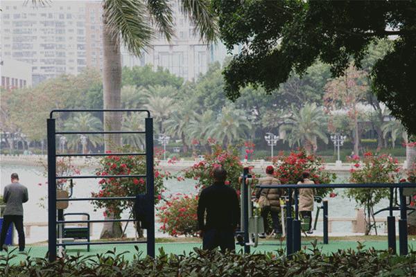 厦门什么地方吹海风吃着美食,厦门必吃海鲜吹海风