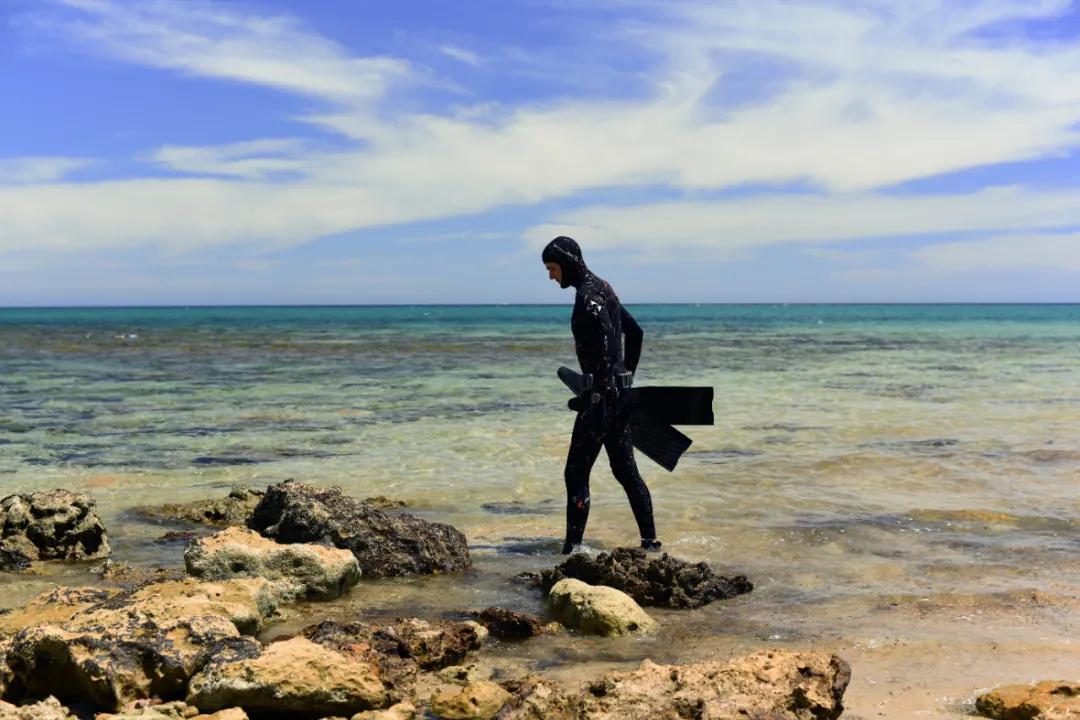 自由潜水水底的美,自由潜水和水肺哪个学的快