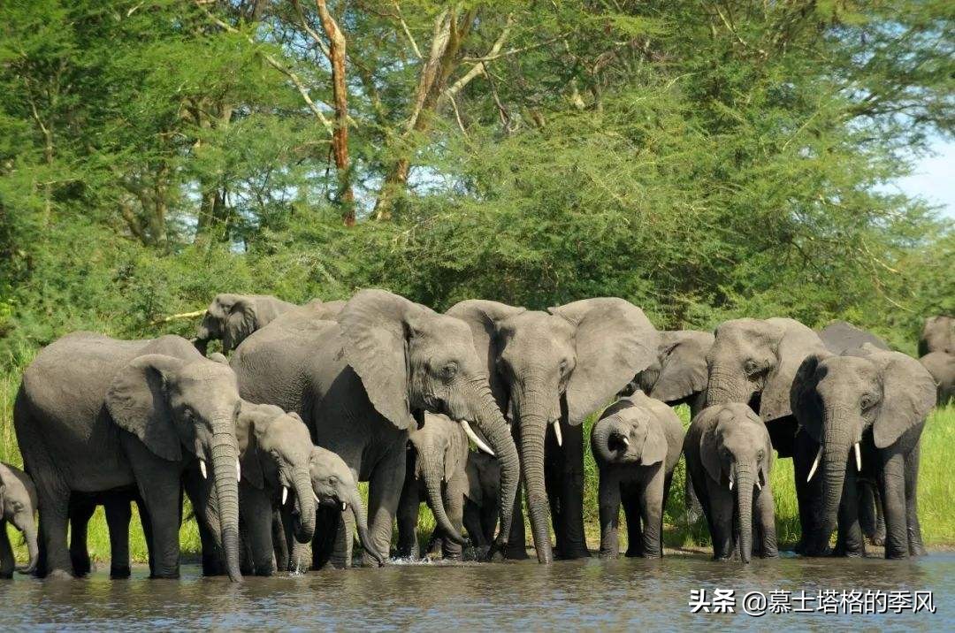 世界十大最适合旅游的国家,世界十大最佳旅行地区