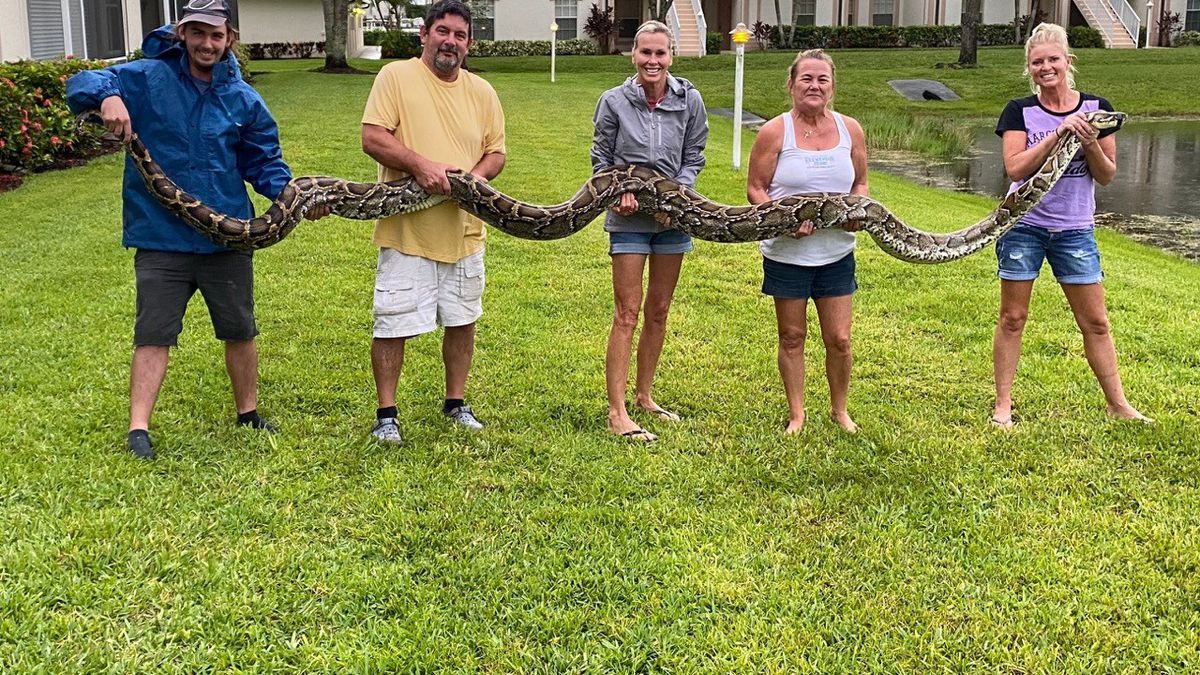 科学家试验被蛇吞,被蛇吞自救实验
