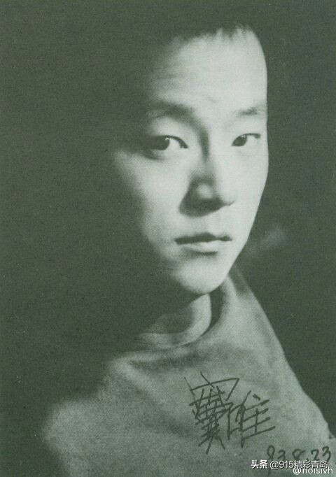 谢霆锋李亚鹏王菲朴树瞿颖窦唯,窦唯朴树郑钧许巍谁地位最高