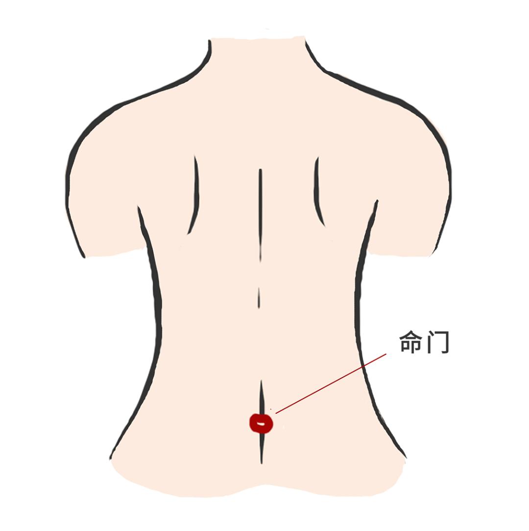今日入伏养生艾灸,今日入伏如何灸